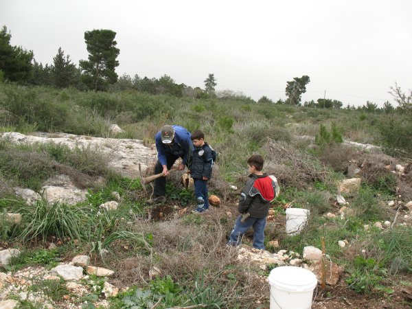 טו בשב"ט